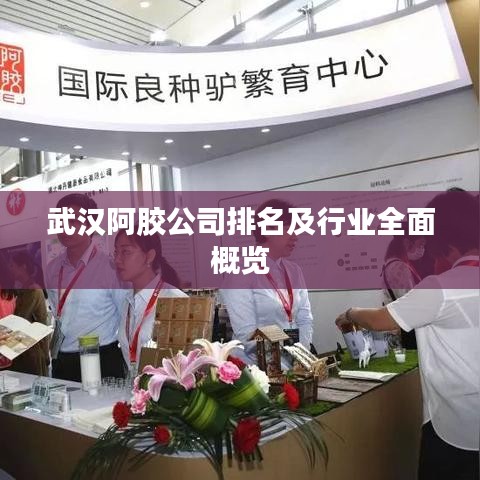 武汉阿胶公司排名及行业全面概览