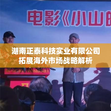 湖南正泰科技拓展海外市场战略详解