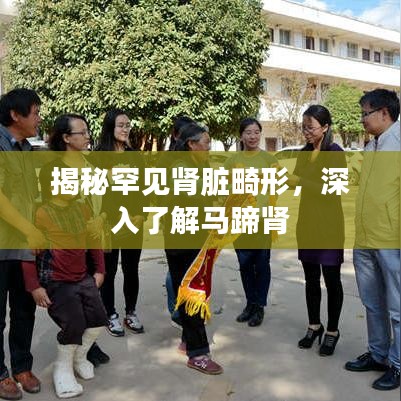 揭秘罕见肾脏畸形，深入了解马蹄肾