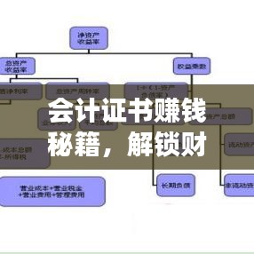 会计证书赚钱秘籍，解锁财务高薪职业新路径