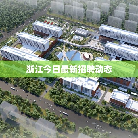 浙江今日最新招聘动态
