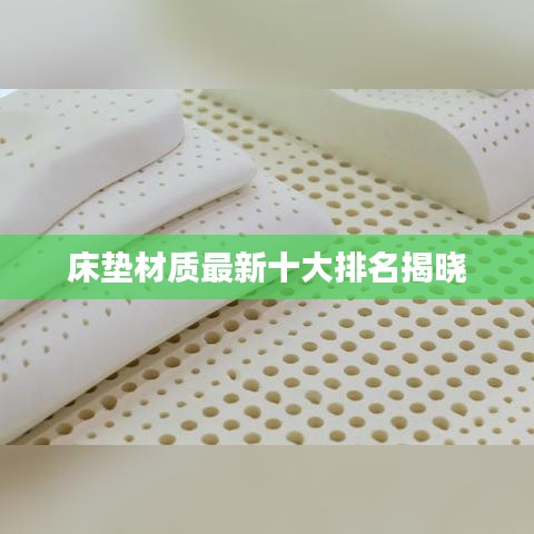 床垫材质最新十大排名揭晓