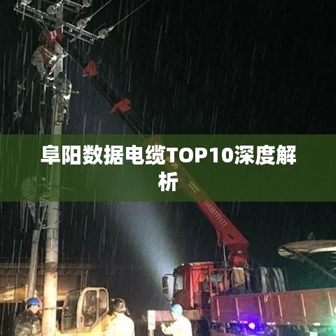 阜阳数据电缆TOP10深度解析