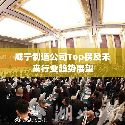 咸宁制造公司Top榜及未来行业趋势展望