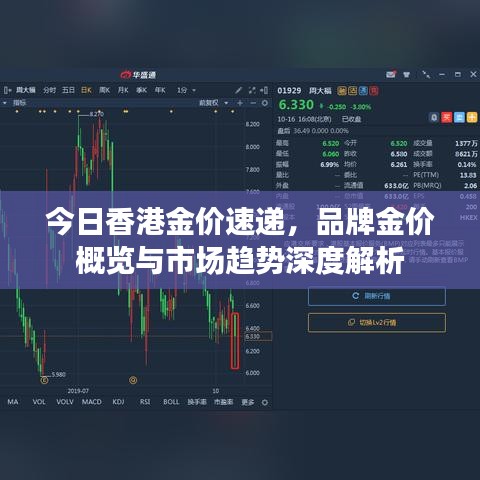 今日香港金价速递，品牌金价概览与市场趋势深度解析