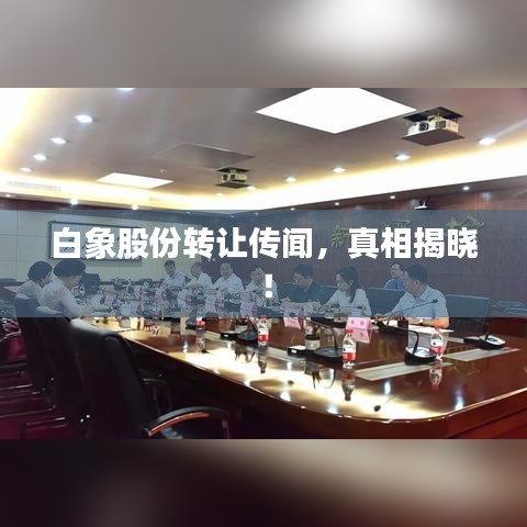 白象股份转让传闻，真相揭晓！