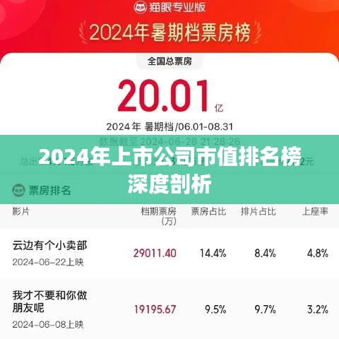2024年上市公司市值排名榜深度剖析