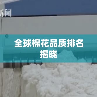 全球棉花品质排名揭晓
