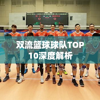 双流篮球球队TOP10深度解析