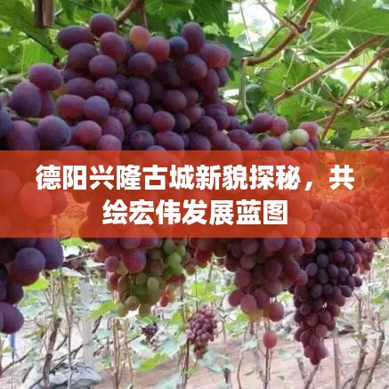 德阳兴隆古城新貌探秘，共绘宏伟发展蓝图