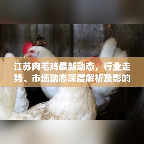草率从事 第3页