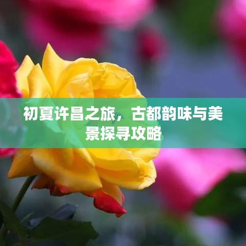 初夏许昌之旅，古都韵味与美景探寻攻略