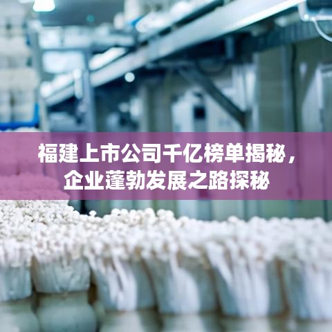 福建上市公司千亿榜单揭秘，企业蓬勃发展之路探秘
