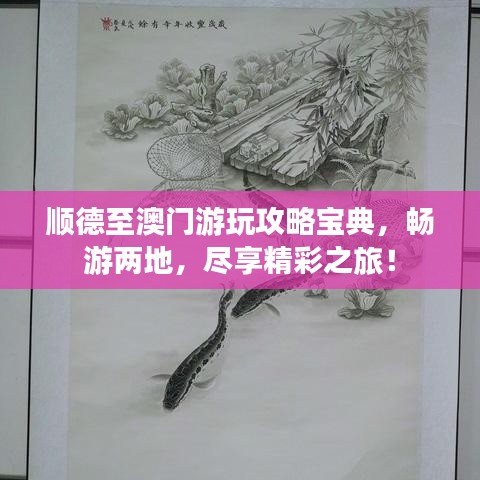 顺德至澳门游玩攻略宝典，畅游两地，尽享精彩之旅！