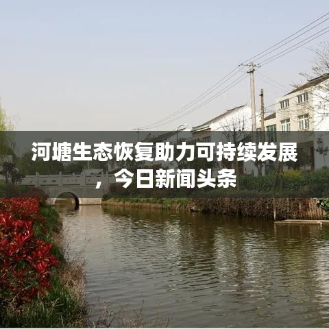 河塘生态恢复助力可持续发展，今日新闻头条