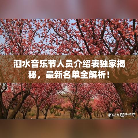 泗水音乐节人员介绍表独家揭秘，最新名单全解析！