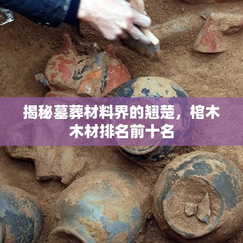 揭秘墓葬材料界的翘楚，棺木木材排名前十名
