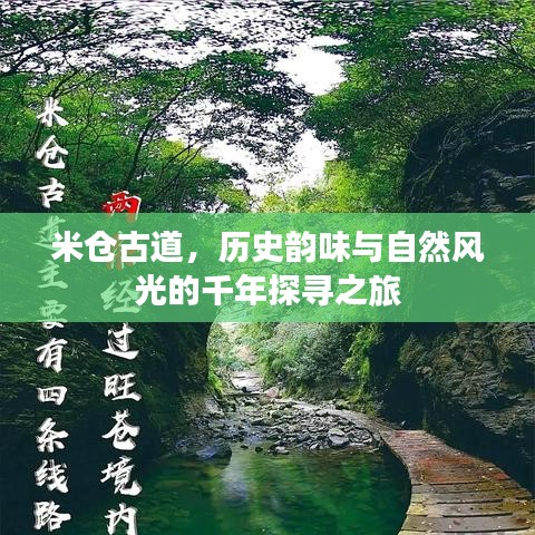 米仓古道，历史韵味与自然风光的千年探寻之旅