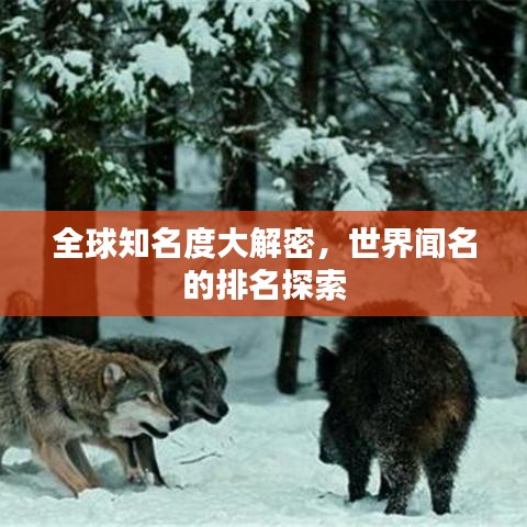 全球知名度大解密，世界闻名的排名探索
