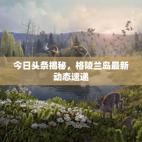 今日头条揭秘，格陵兰岛最新动态速递