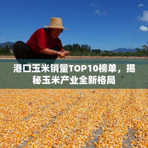 港口玉米销量TOP10榜单，揭秘玉米产业全新格局