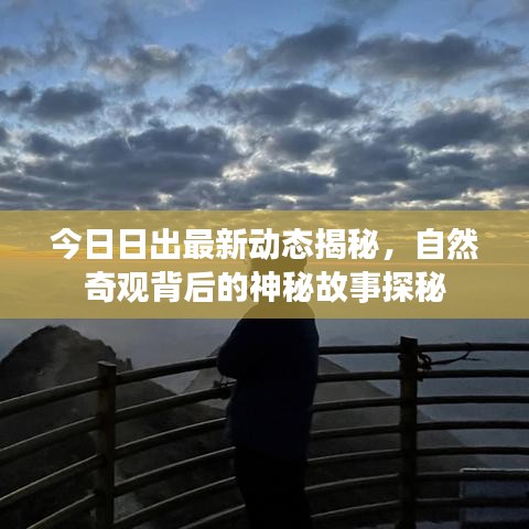 料事如神 第3页
