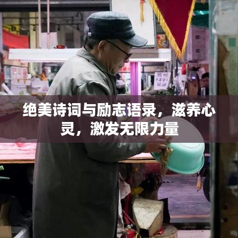 衣不兼彩 第3页