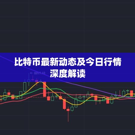 比特币最新动态及今日行情深度解读