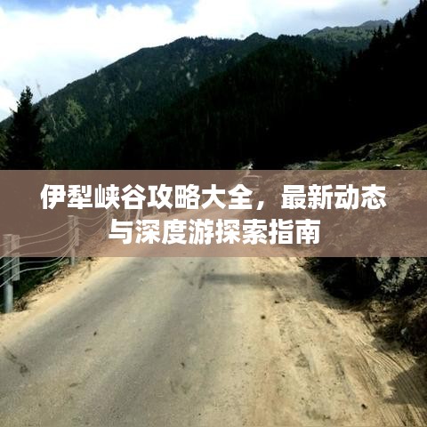 伊犁峡谷攻略大全，最新动态与深度游探索指南