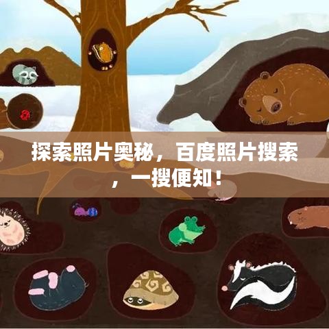 探索照片奥秘，百度照片搜索，一搜便知！