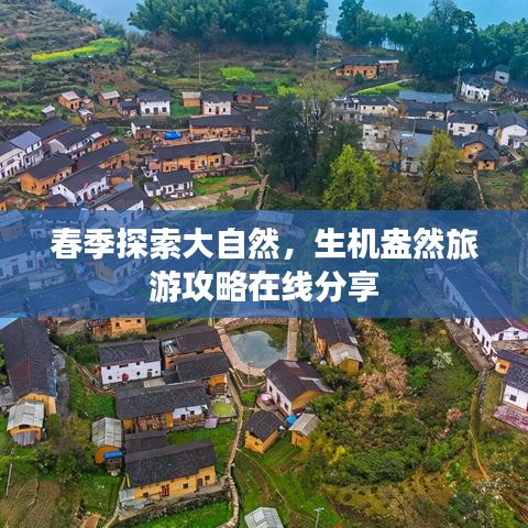 春季探索大自然，生机盎然旅游攻略在线分享