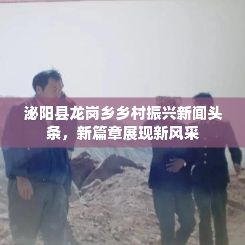 泌阳县龙岗乡乡村振兴新闻头条，新篇章展现新风采
