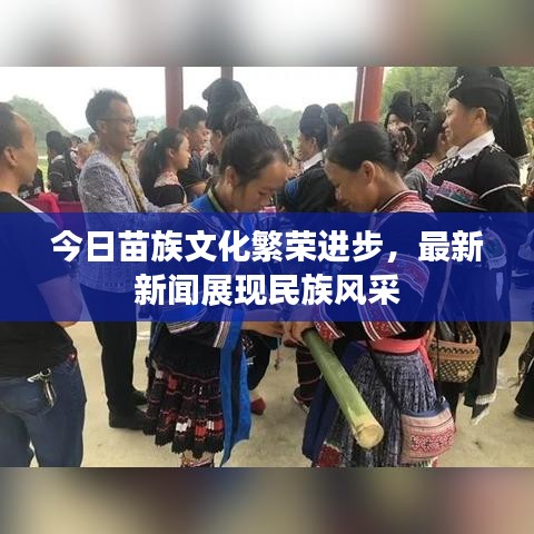 今日苗族文化繁荣进步，最新新闻展现民族风采
