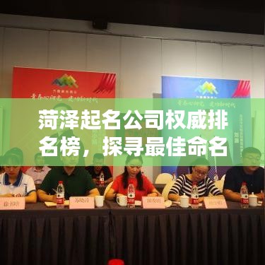 菏泽起名公司权威排名榜，探寻最佳命名艺术之选