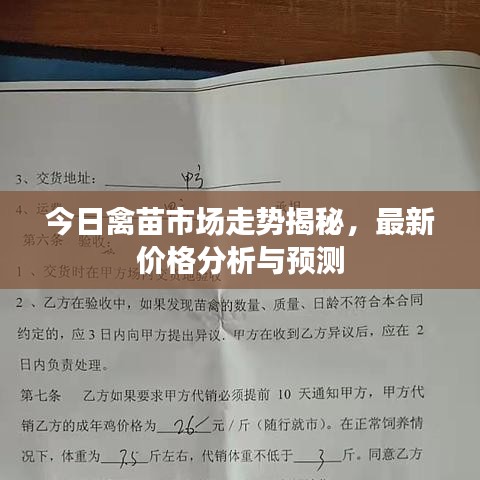 今日禽苗市场走势揭秘，最新价格分析与预测