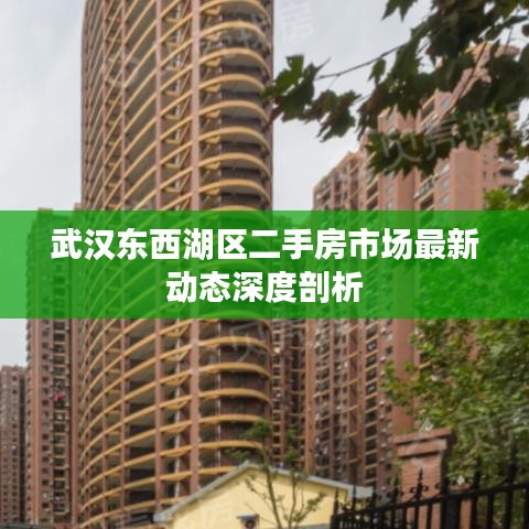 武汉东西湖区二手房市场最新动态深度剖析