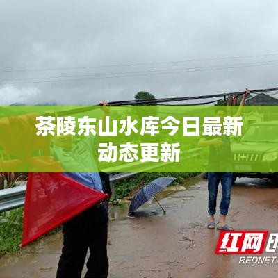 茶陵东山水库今日最新动态更新