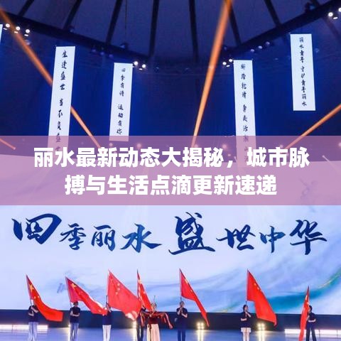 丽水最新动态大揭秘，城市脉搏与生活点滴更新速递