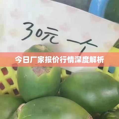 今日厂家报价行情深度解析