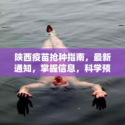 陕西疫苗抢种指南，最新通知，掌握信息，科学预约接种