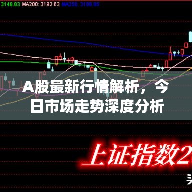 A股最新行情解析，今日市场走势深度分析