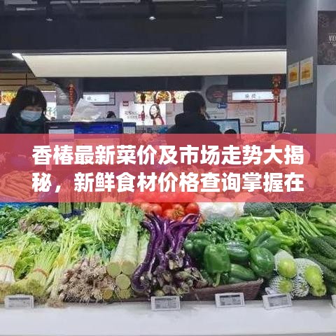 香椿最新菜价及市场走势大揭秘，新鲜食材价格查询掌握在手！