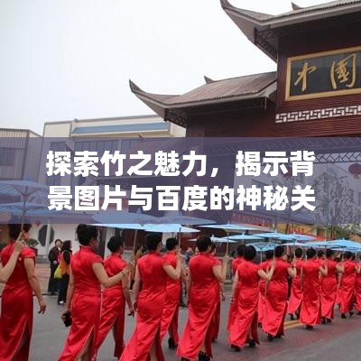 探索竹之魅力，揭示背景图片与百度的神秘关联
