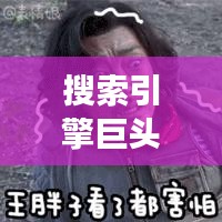 搜索引擎巨头百度的日常作用，如何高效利用搜索获取所需信息？