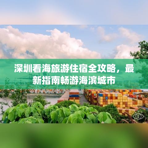 深圳看海旅游住宿全攻略，最新指南畅游海滨城市