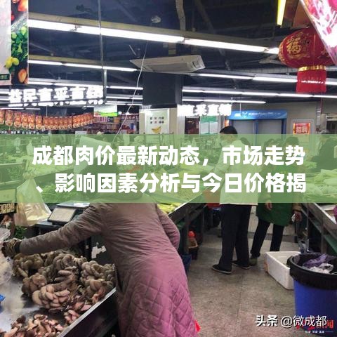成都肉价最新动态，市场走势、影响因素分析与今日价格揭秘