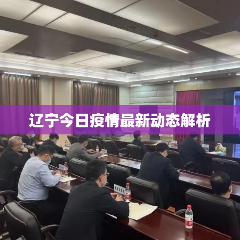 辽宁今日疫情最新动态解析