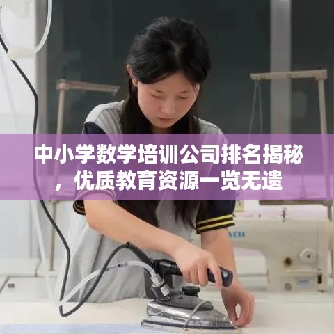 中小学数学培训公司排名揭秘，优质教育资源一览无遗