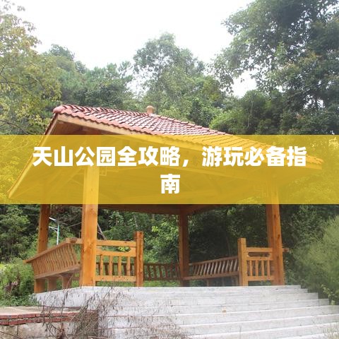 天山公园全攻略，游玩必备指南