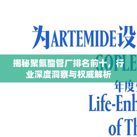 揭秘聚氨酯管厂排名前十，行业深度洞察与权威解析